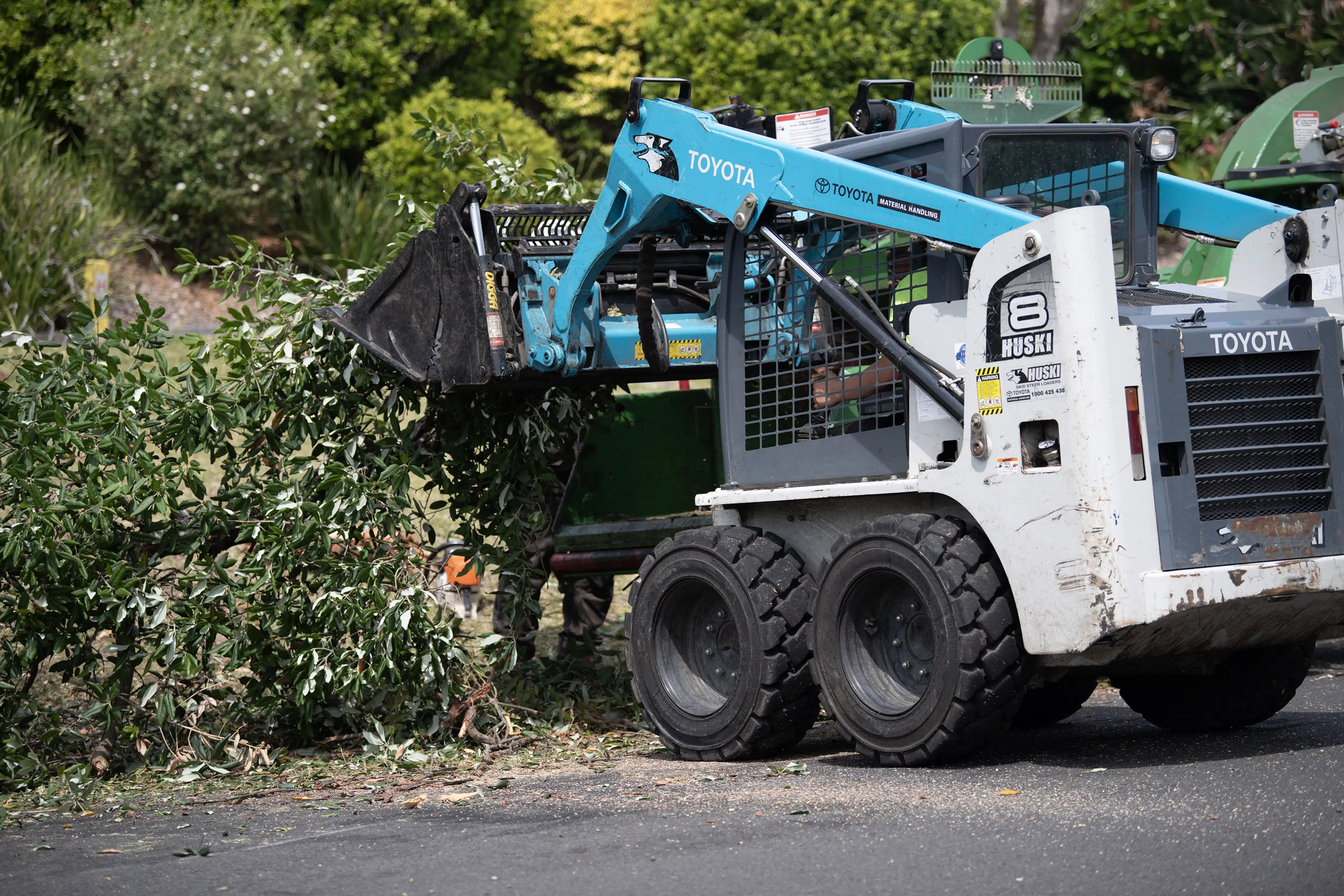 Complete tree services for Mollymook
