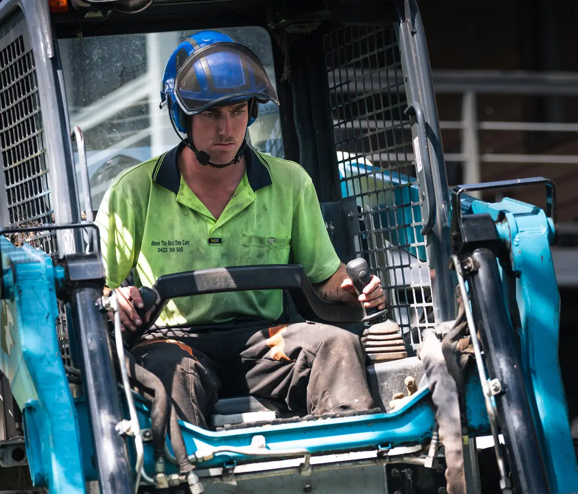 Above The Rest Tree Care - Ulladulla