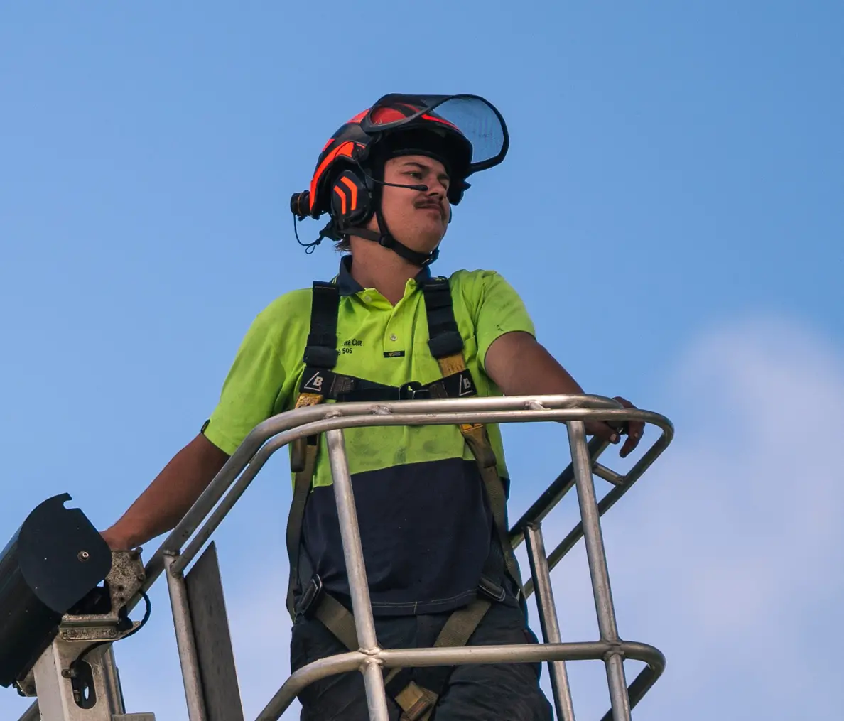 Above The Rest Tree Care - Milton