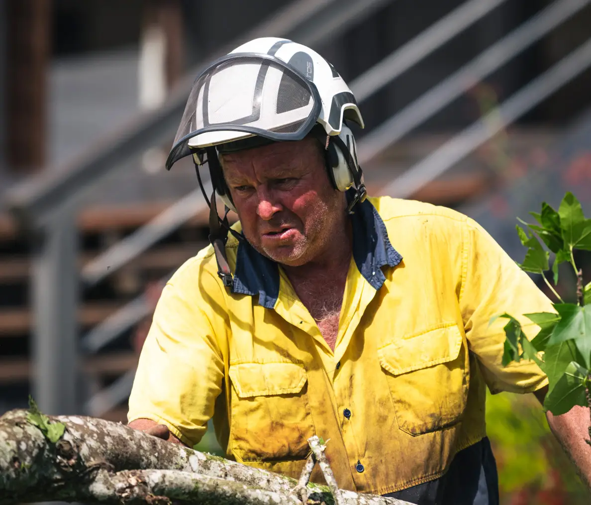 Above The Rest Tree Care - Mollymook