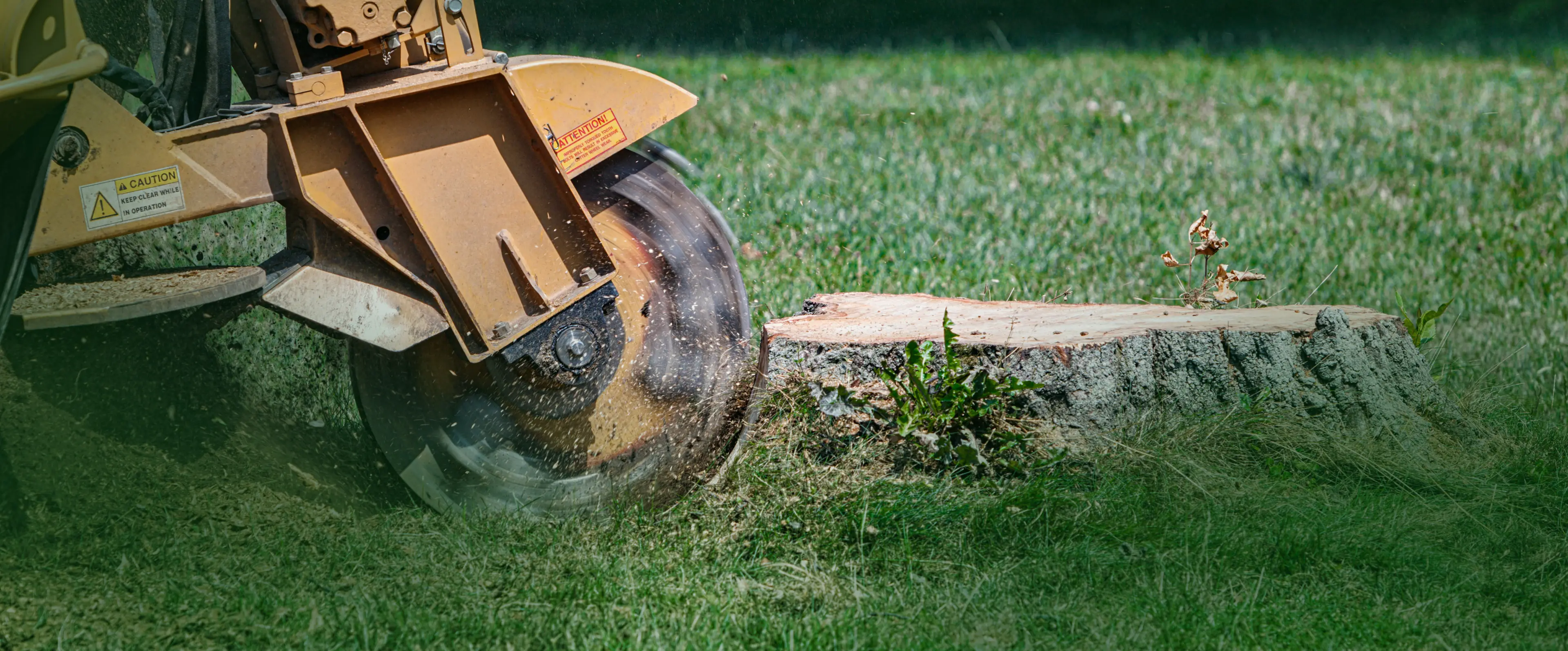 Stump Grinding