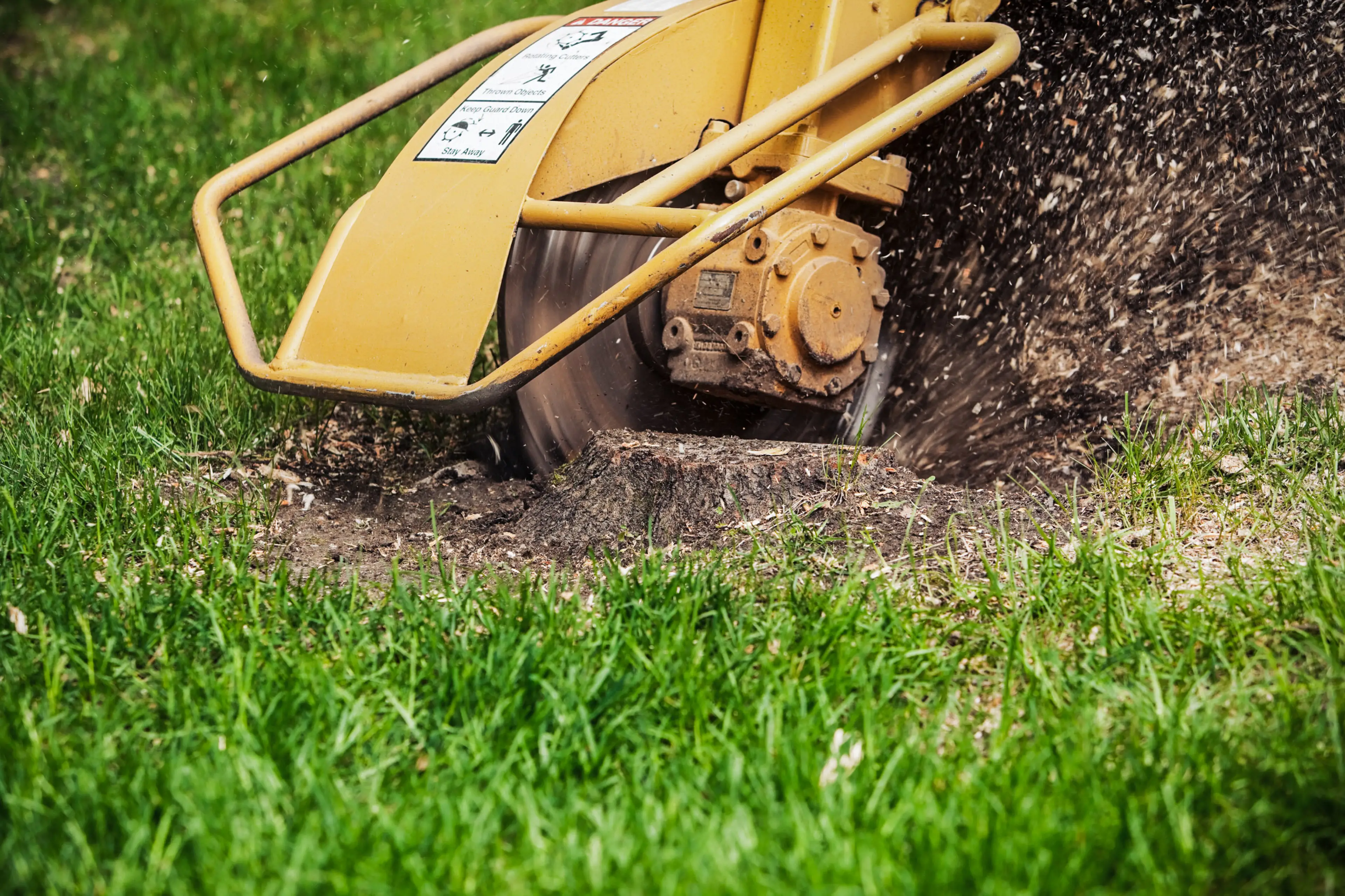 Grind it out and get your yard back