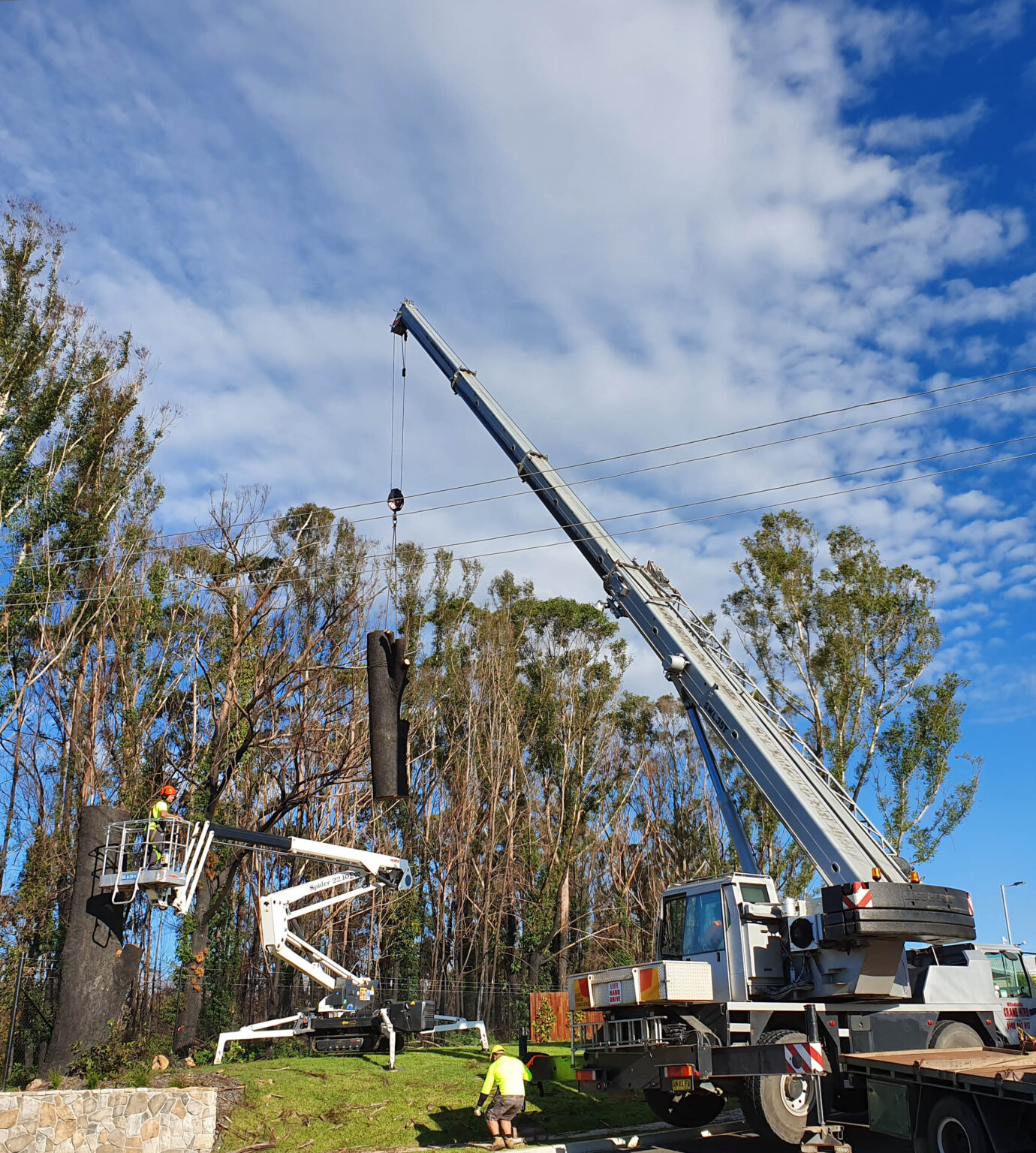 tree removal in ulladulla region, shoalhaven