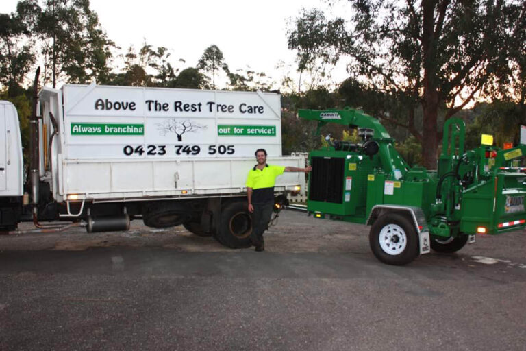 Tree Services in Ulladulla