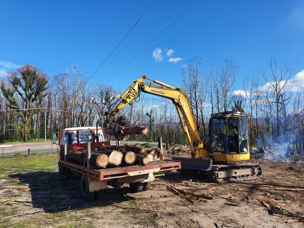 tree removal in ulladulla region, shoalhaven